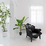 Trilogy Black *