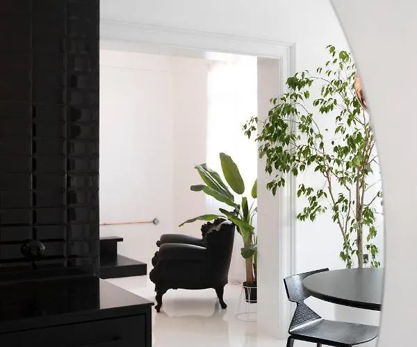 Trilogy Black Salonic